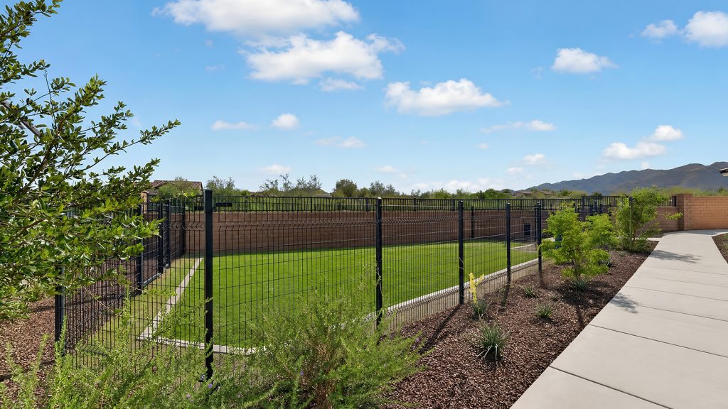 dog park