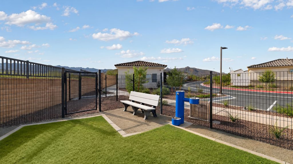dog park